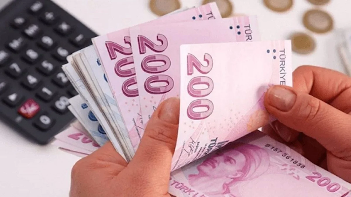 800 Bin TL Geri Ödemesiz Girişimcilik Desteği: Başvuru Şartları ve Detaylar - Ekonomi Haberleri