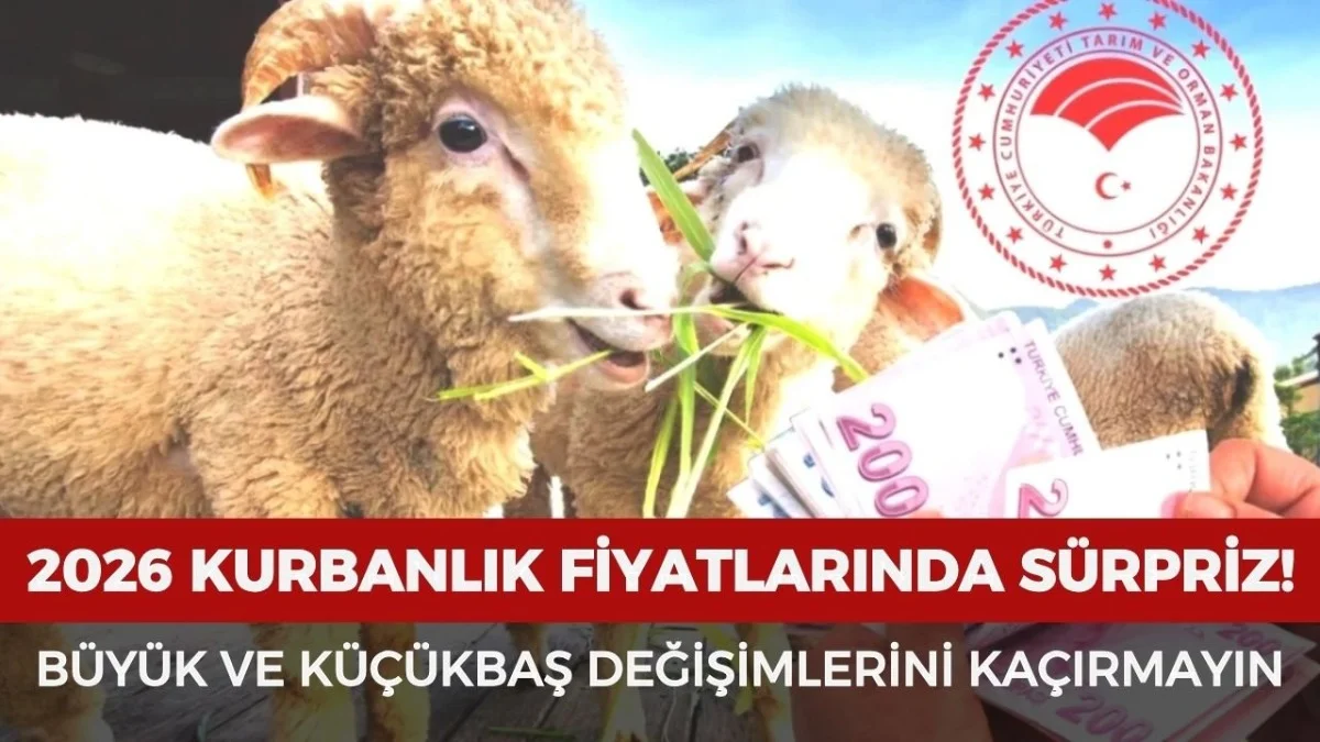 Kurban Alacaklar Dikkat! 2026 Fiyatlarında Beklenmedik Değişim - Ekonomi Haberleri